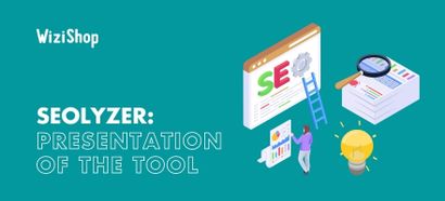 Seolyzer: A complete, detailed presentation of the log analysis tool
