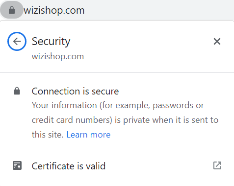 SSL Certificate: Protocol For Securing Your Ecommerce Site