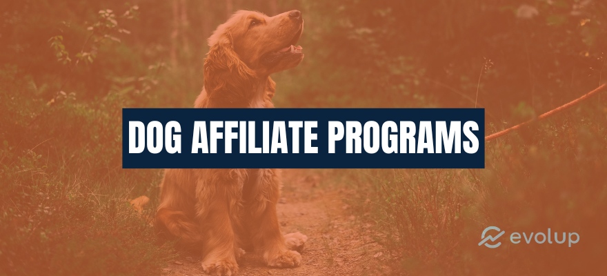 21 Best dog affiliate programs for pet enthusiasts to join in 2024