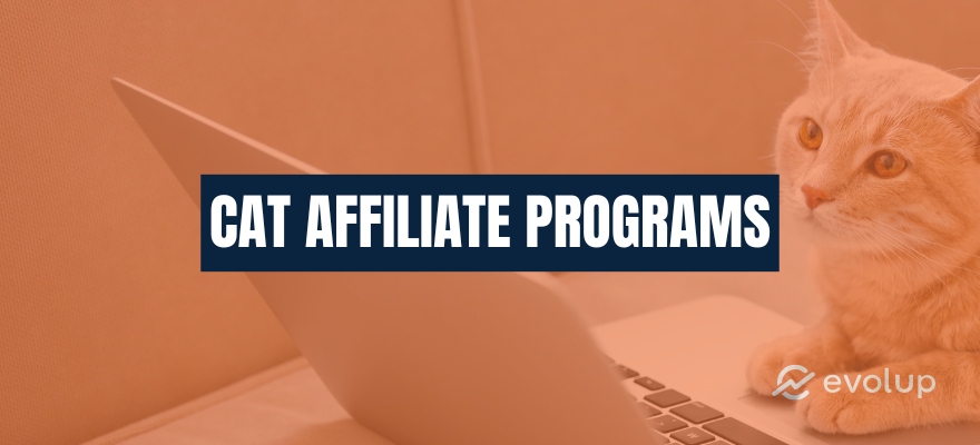 Top 21 cat affiliate programs for feline fanatics to sign up for in 2024