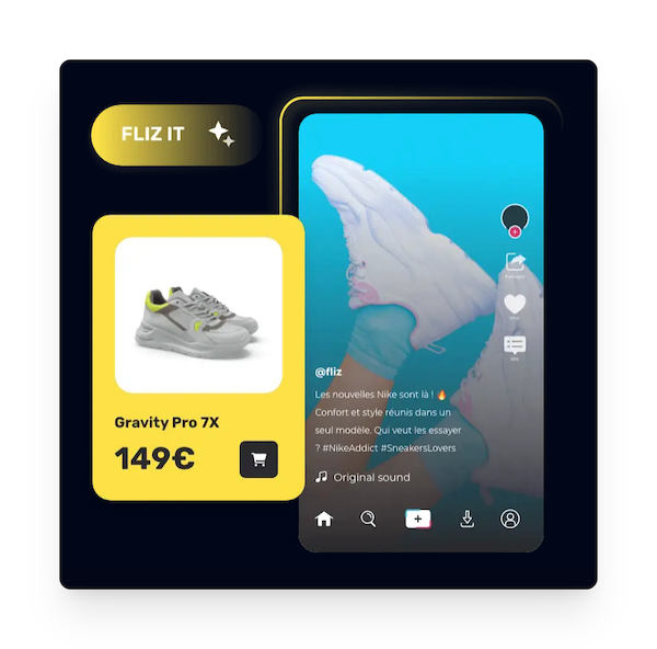 fliz example