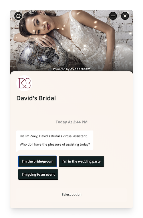 david's bridal chatbot