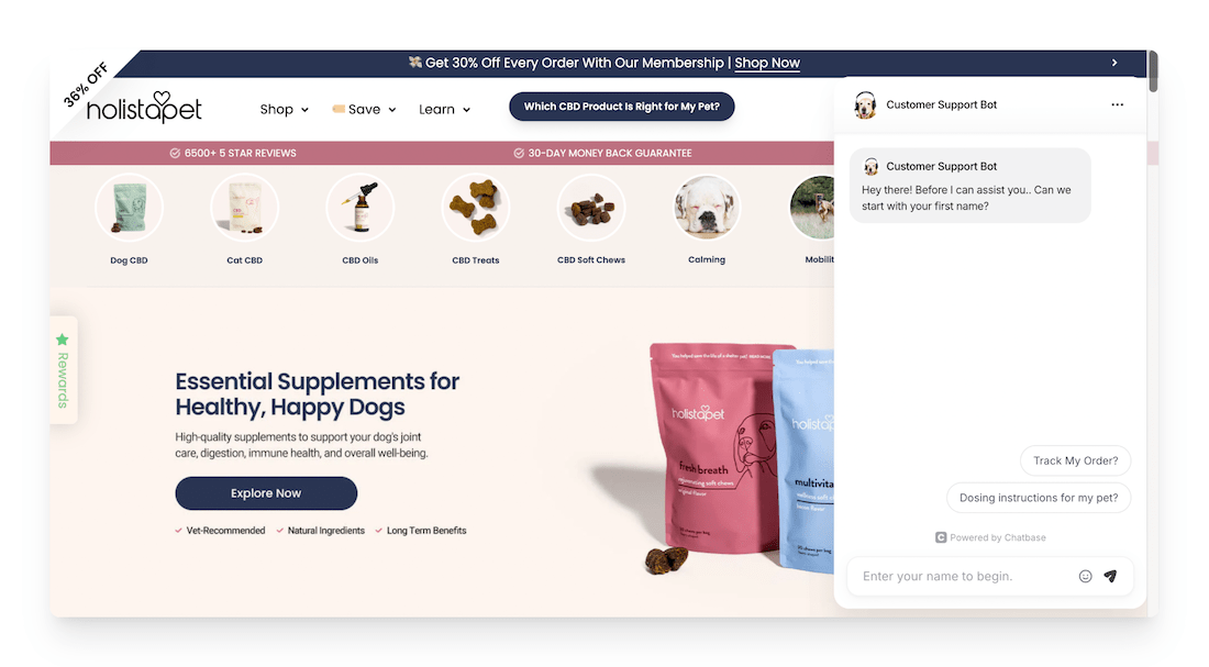 holistapet chatbot