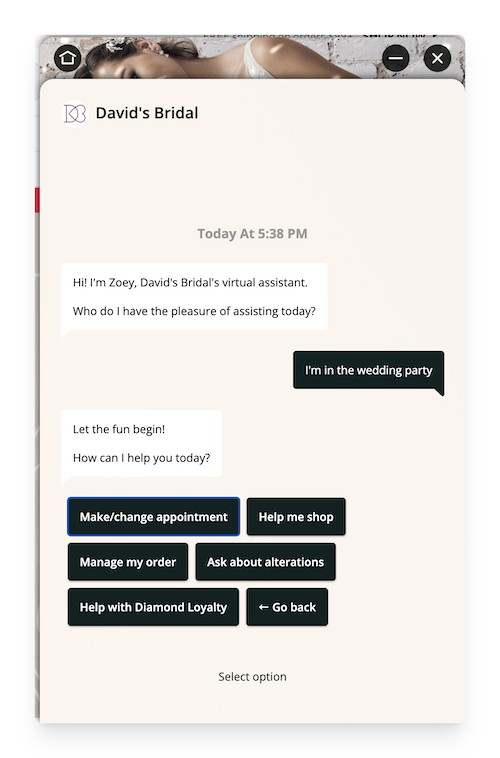 chatbot on david's bridal website