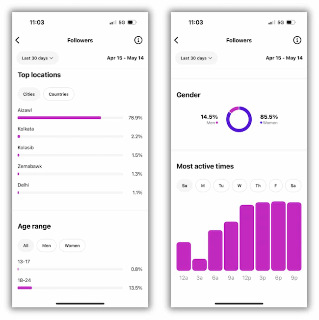 follower data in Instagram Insights