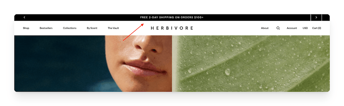 Herbivore free shipping