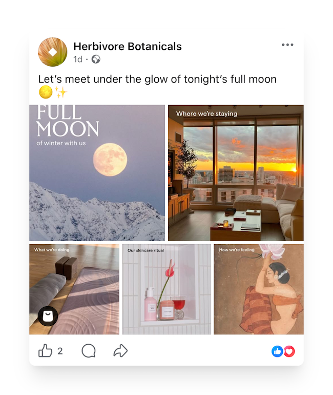 Herbivore Botanicals Facebook Shopping