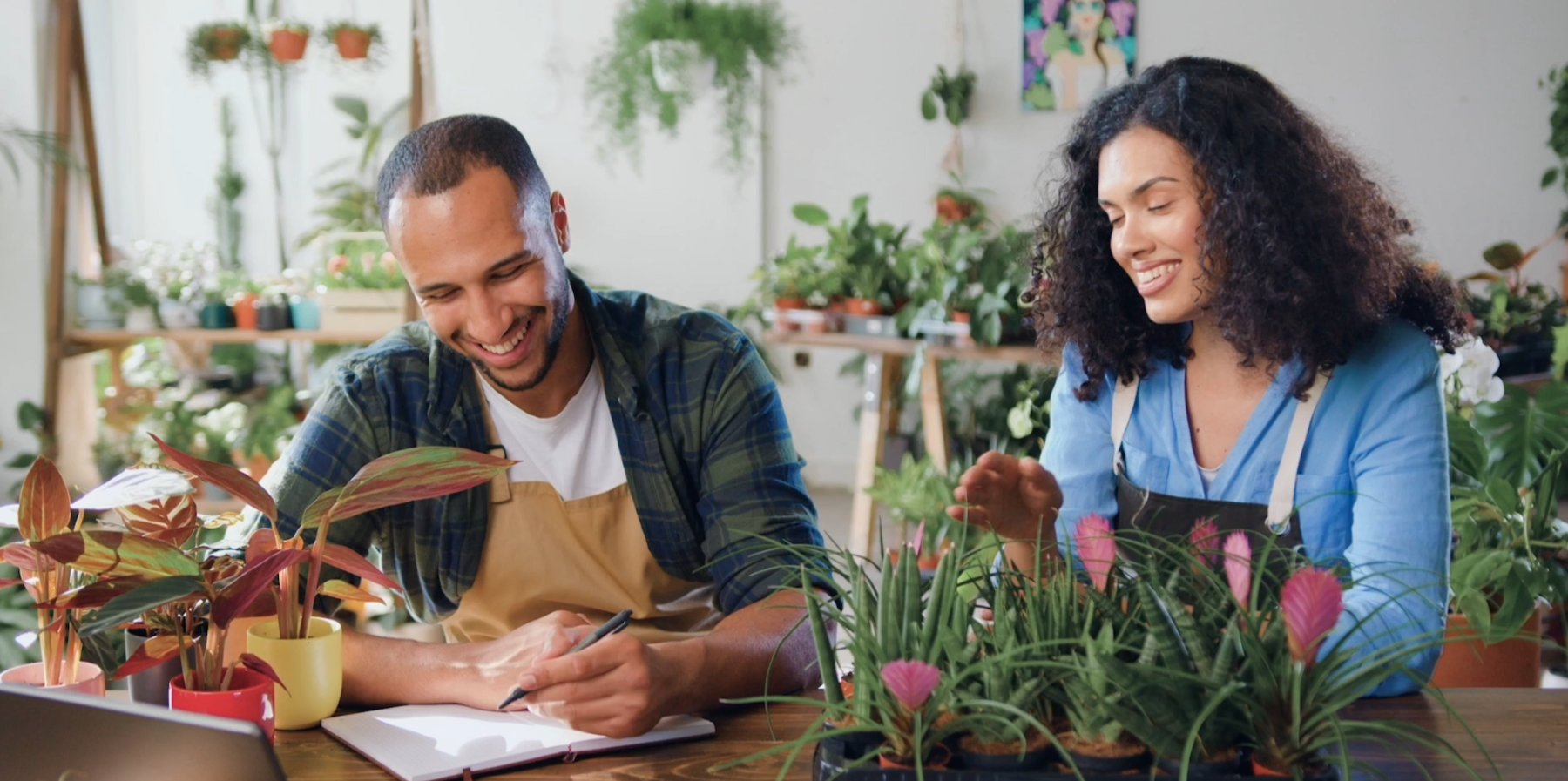 WiziShop Ecommerce Solution: Create your Online Store