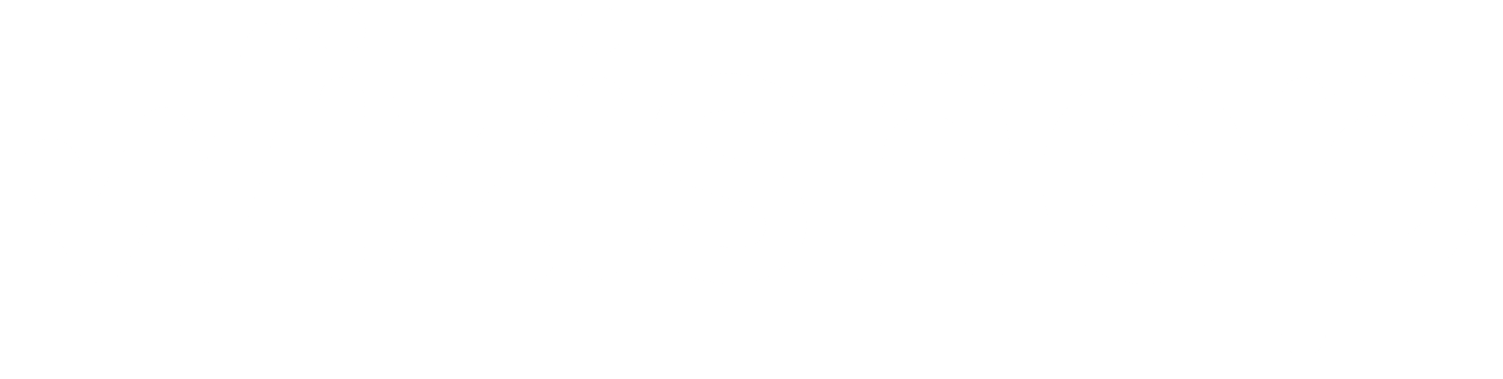 WiziShop